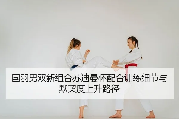 guo-yu-nan-shuang-xin-zu-he-su-di-man-bei-pei-he-xun-lian-xi-jie-yu-mo-qi-du-shang-sheng-lu-jing-2-644.jpg